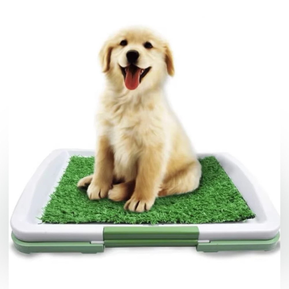 Puppy Potty Trainer 🐶